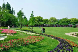 共享旅游惠 上70家景区半价引领智能新体验