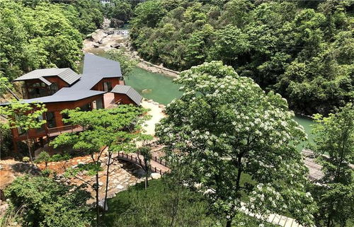 中国旅游日，楠溪江景区大放异彩 多重优惠活动与智慧旅游体验全指南